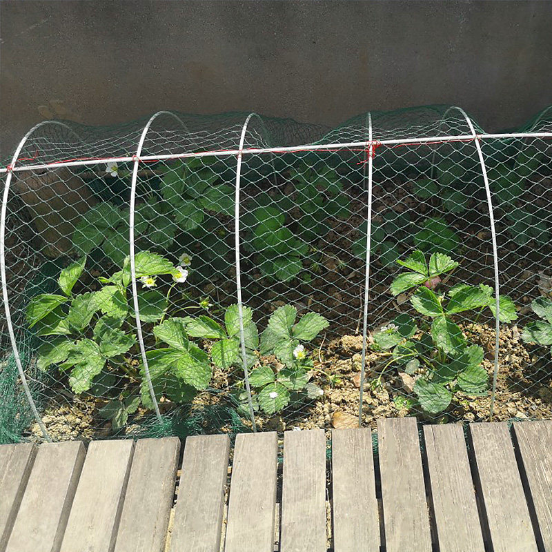 防鸟用的网樱桃丝网果园盖树嘉宝网遮树草莓果树网罩菜园大棚罩纱