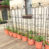 花架爬藤架月季 支架攀爬铁艺笼铁线莲阳台藤架花园庭院植物花架子