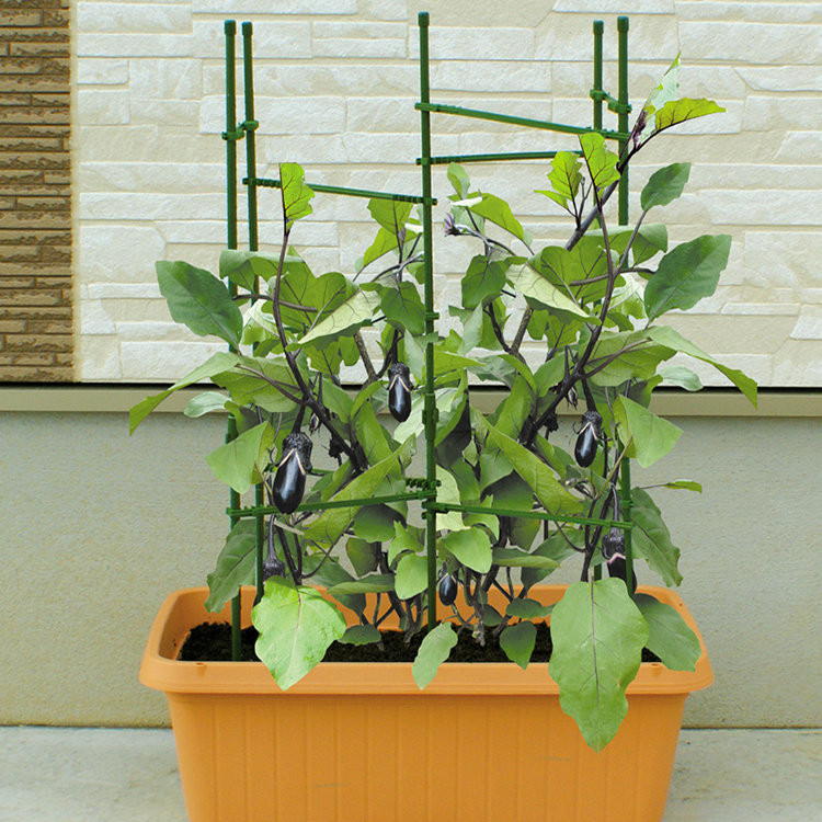 种菜搭架黄瓜支架西红柿支撑架番茄瓜果爬藤植物种植防倒固定架子,鲜花速递/花卉仿真/绿植园艺,花架,淘宝优惠券,粉丝福利购,淘宝优惠卷