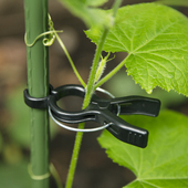 番茄固定器花架西红柿黄瓜吊秧夹子藤架爬藤架子植物支撑架蔬菜夹