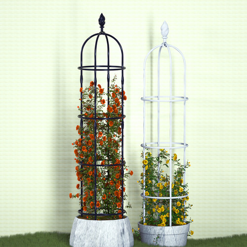 月季铁线莲爬藤架园之助爬藤架