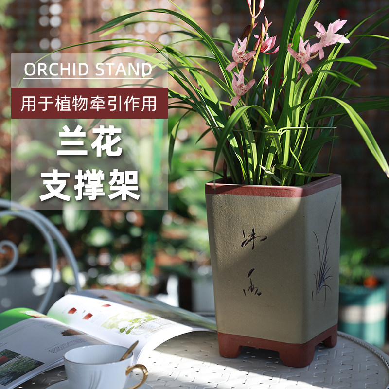 兰花支架圈花架子花盆蟹爪兰植物花托支撑花卉盆盆栽架子杆子架