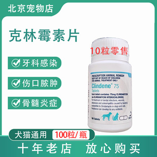 澳洲克林霉素犬猫牙科炎症伤口脓肿骨髓炎75mg