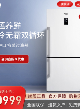 倍科553升双开门两门冰箱风冷无霜原装进口变频电冰箱160220IW