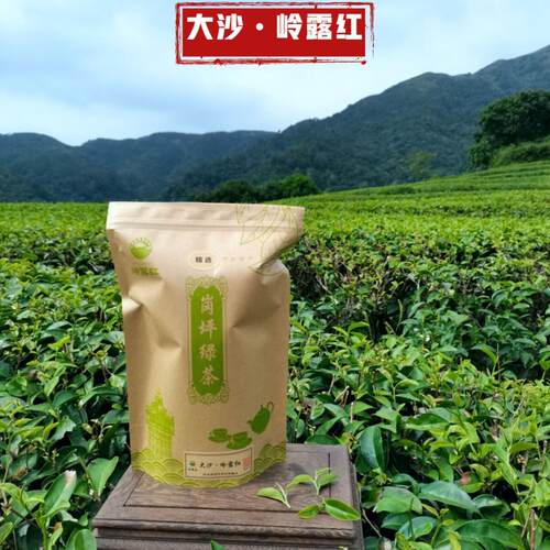 大沙绿茶板栗香天露山茶清香回甘