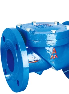 正品埃美柯软密封单向阀H44X-16铸铁橡胶瓣止回阀9405 DN50-200