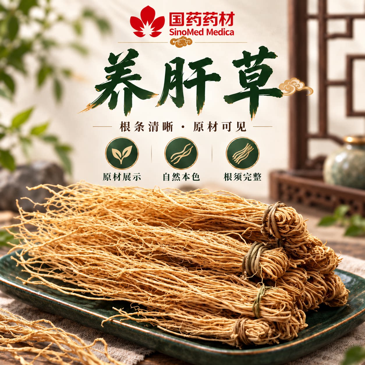国药药材广东野生养肝草丝线根护肝草龙须草养肝草汤包养肝金草