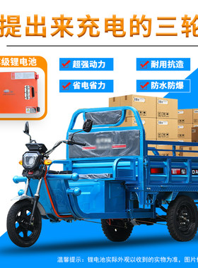 锂电池电动三轮车载货王家用电瓶车成人拉货三轮车农用车快递车