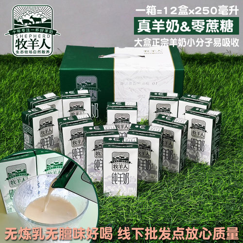 正品牧羊人不膻儿童纯羊奶包邮钙