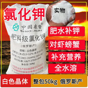 氯化钾62含量白色晶体俄罗斯进口小麦玉米追钾肥小龙虾螃蟹肥水