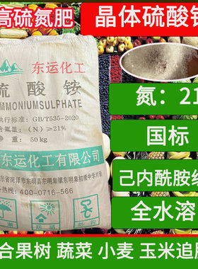 21含量硫酸铵己内酰胺级别