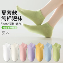 （5双）春夏短袜子女纯棉薄款透气船袜女士棉袜诸暨袜业百搭女袜