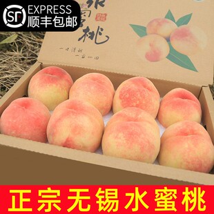 正宗无锡阳市山水蜜桃6两8个礼盒装超大甜桃子新鲜水果湖景白凤软