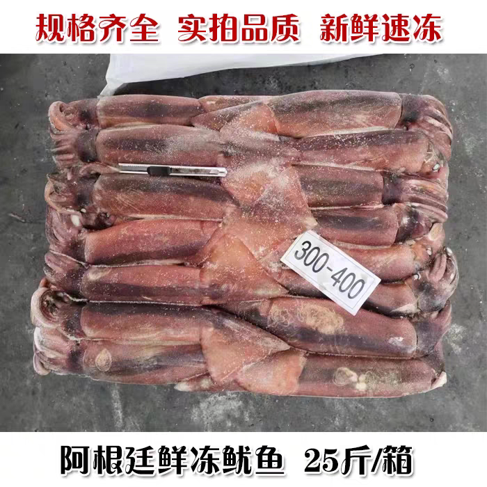 阿根廷生冻整条鱿鱼25斤烧烤火锅