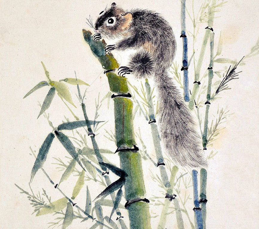 高清松鼠装饰画水墨画国画风景动物名画电子jpg格式ti62f图片素材