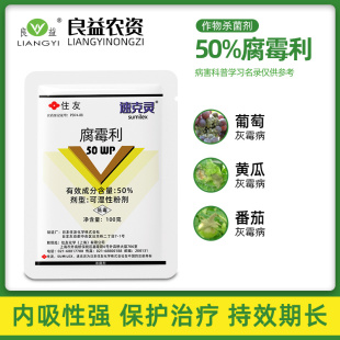 速克灵腐霉利50%油菜黄瓜番茄葡萄灰霉病菌核病农药杀菌剂