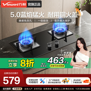 万和新品 燃气灶家用厨房天然气煤气灶液化气官方旗舰店B6L60