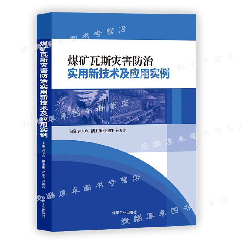 煤矿瓦斯灾害实用新技术及应用实例 应急管理出版社