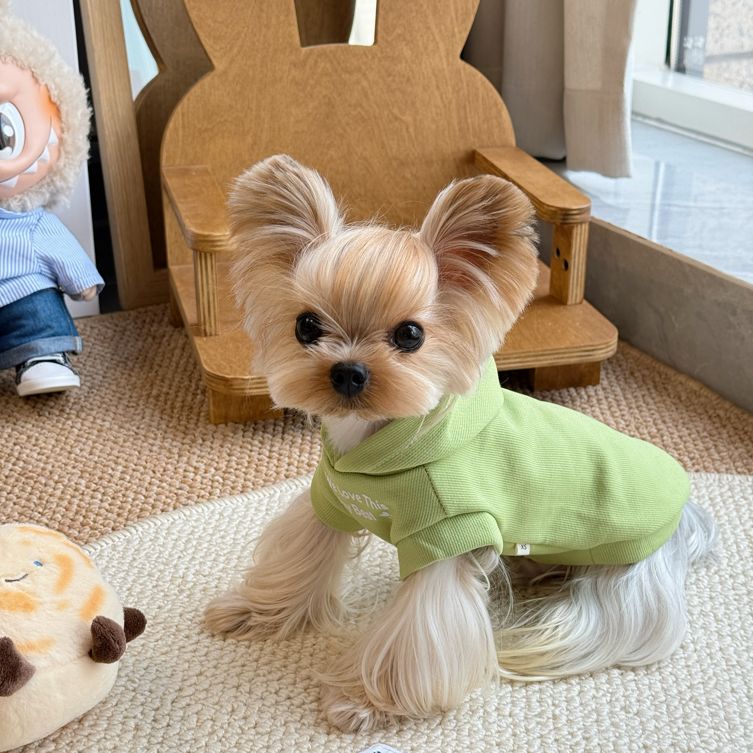 小甜粥宠物服狗狗猫咪秋冬卫衣新款简约舒适背心约克夏连帽衣服