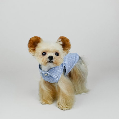 狗狗牛仔衣服狗狗秋季衣服