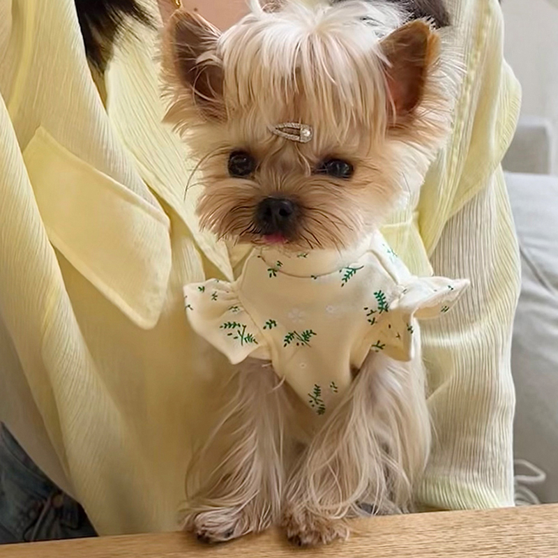 小甜粥韩版印花小飞袖花边背心马尔济斯约克夏狗狗猫咪衣服 宠物/宠物食品及用品 猫宠物服装/雨衣（新） 原图主图