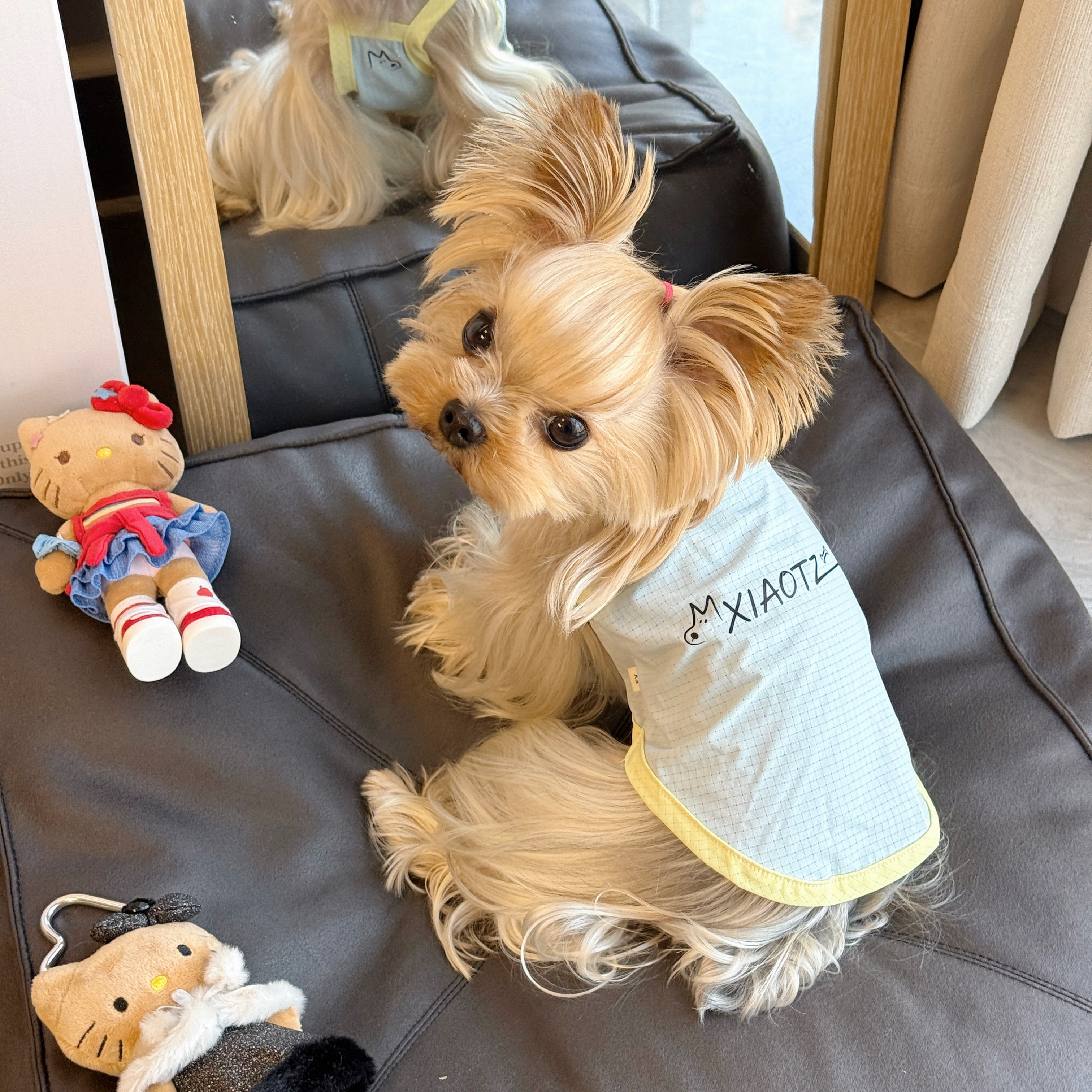小甜粥宠物服夏季超薄吸湿速干防晒吊带凉感背心小型犬约克夏衣服 - 实物图