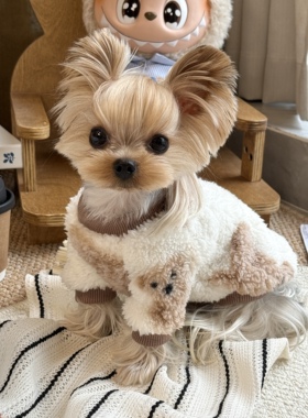 小甜粥宠物服狗狗发热加厚小熊双面绒T恤小型犬约克夏衣服