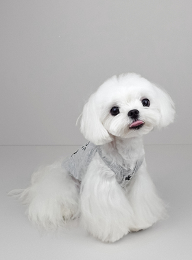 小甜粥宠物服狗狗猫咪小众灰色夏季薄款纯棉吊带居家约克夏衣服