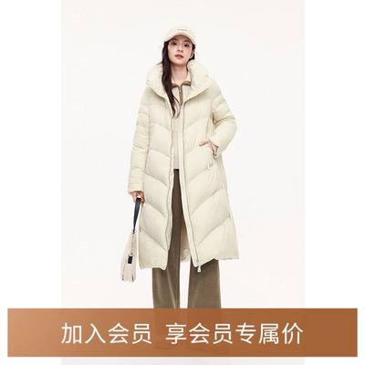 【商场同款】诗凡黎90鸭绒立领羽绒服2023冬新款外套女3EB180651