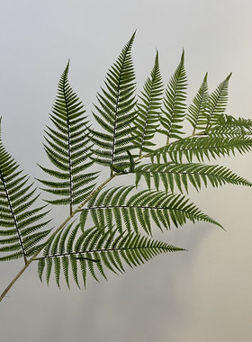 禅意单支蕨叶造景插花