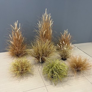 仿真草丛枯草狗尾草秋色系草堆落地绿植布景直播样板间拍摄摆件