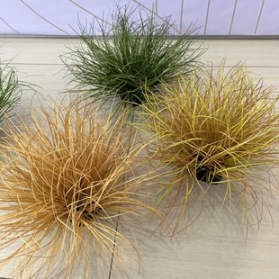 仿真蒲草装饰摆件假芦苇草枯草假草丛摄影道具草垛草堆造景秋草