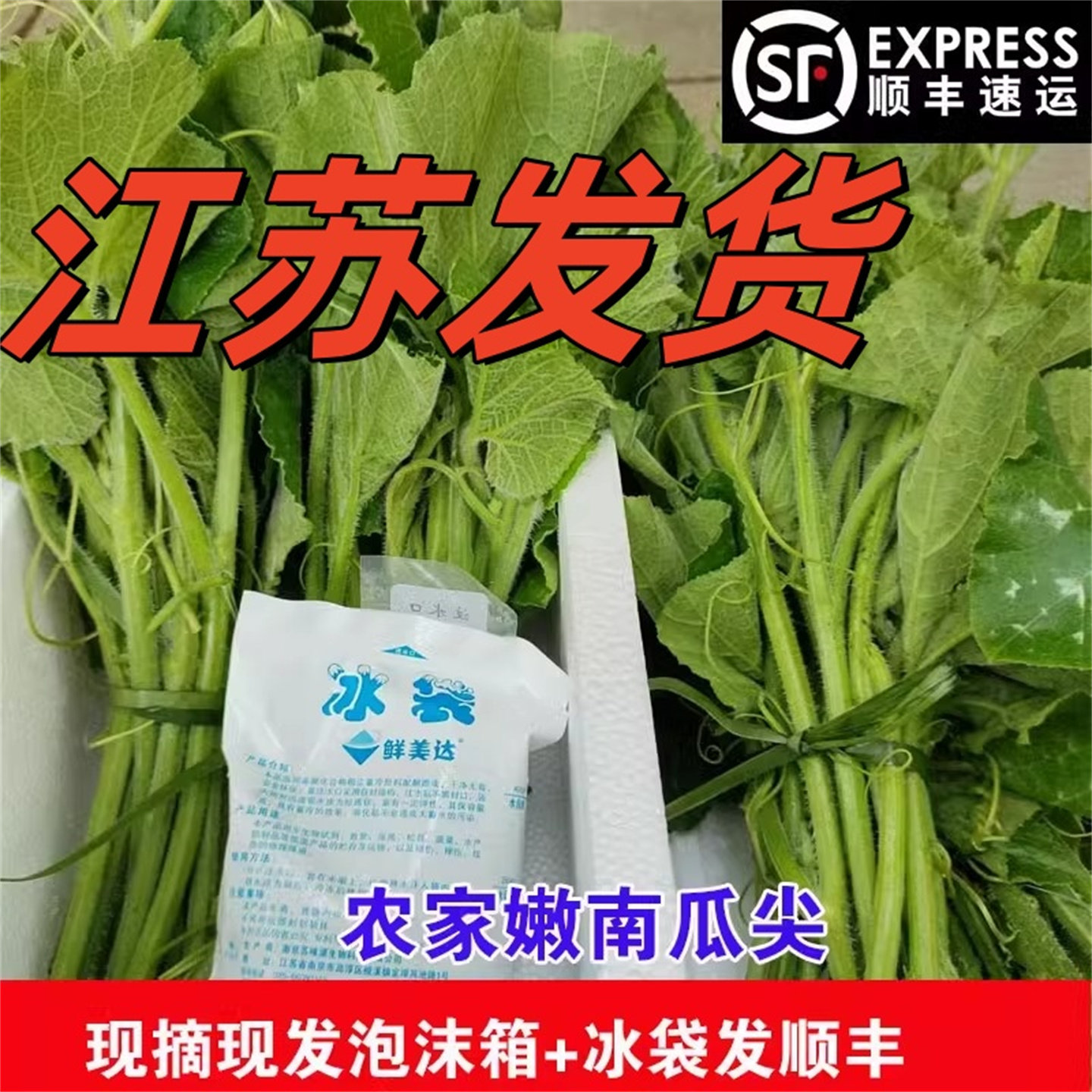 【吃的南瓜藤】苏北新鲜蔬菜
