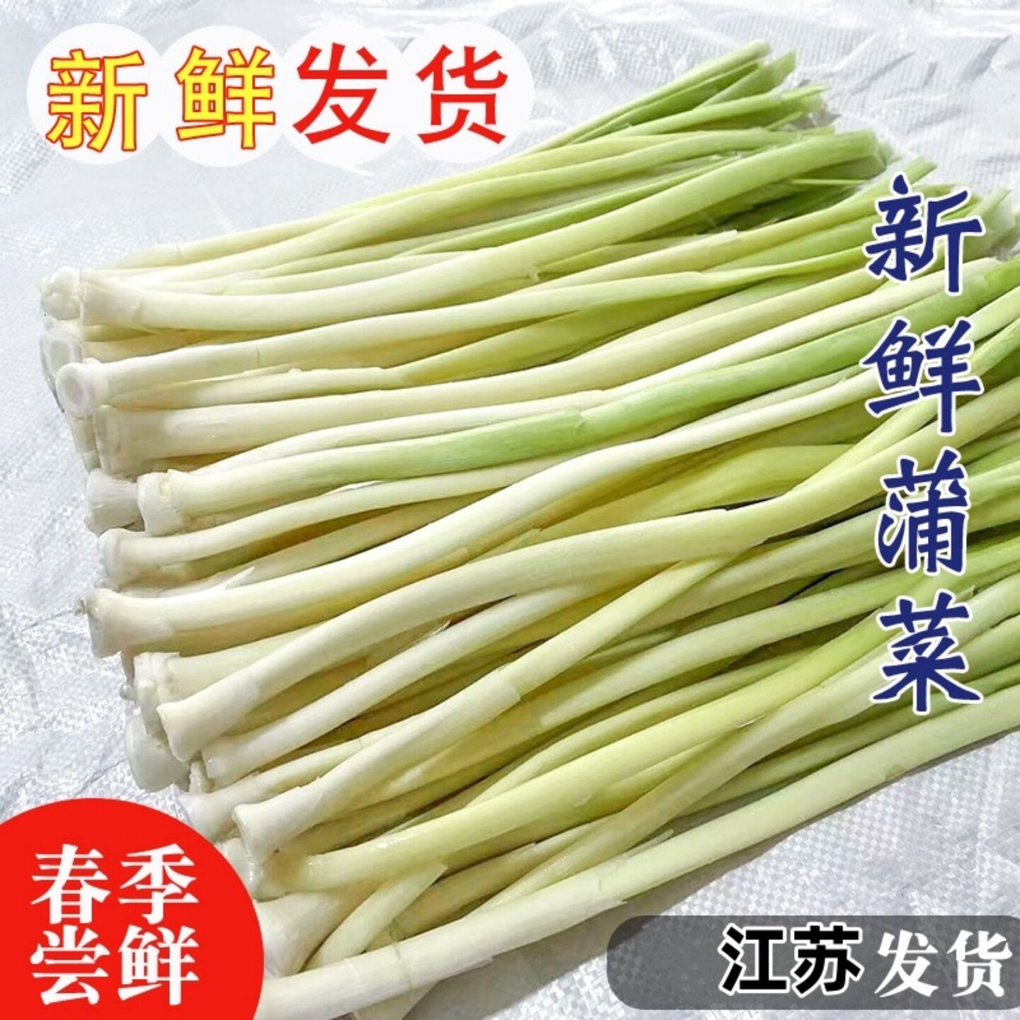 淮安特产蒲菜新鲜蒲笋野茭白蒲儿菜高笋奶汁水篙芭苏北农家茭白菜