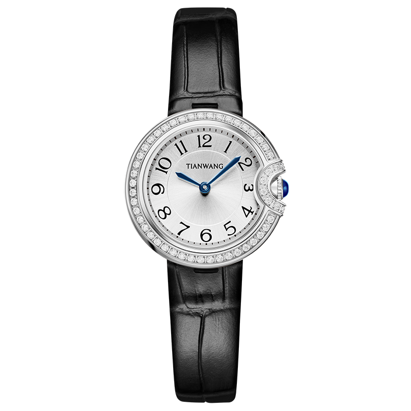 送老婆送姐姐女友天王奢华轻奢石英女士手表女生生日礼物31345