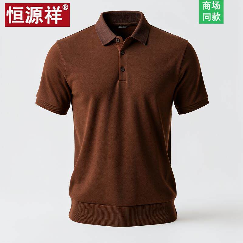 恒源祥羊毛衫男士薄款t恤翻领羊绒衫男爸爸装秋季打底polo毛衣男