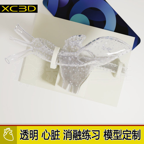 透明左心房左心耳心脏射频消融术
