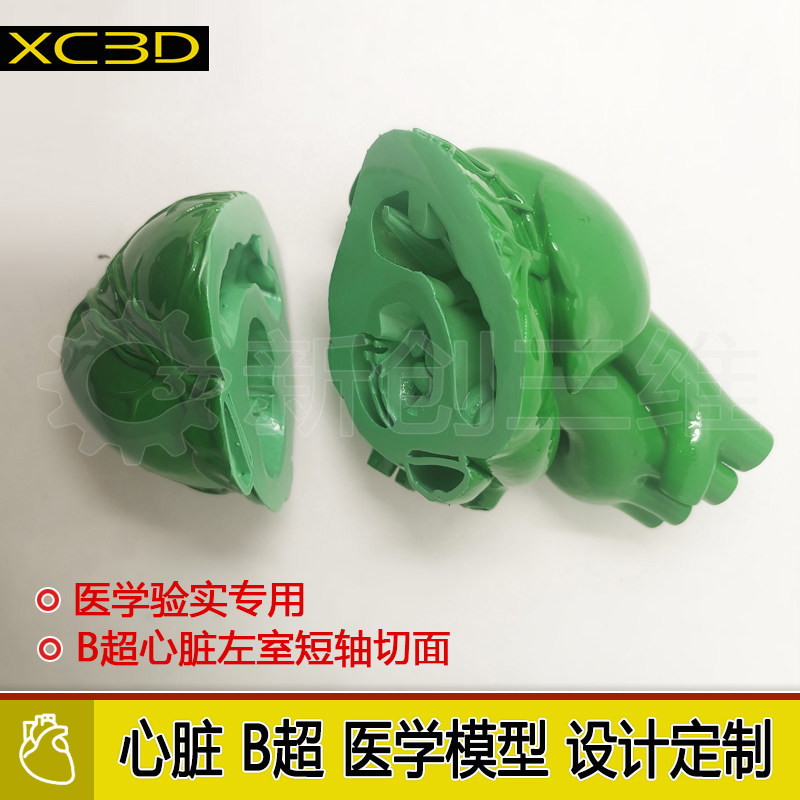 3d打印B超心脏切面模型心脏左心房室左心耳肝脏肾脏胃部医学定制