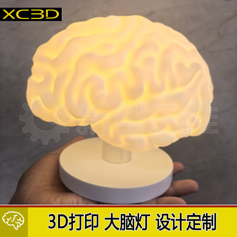 3D打印透明导光大脑灯大脑医学教学教具艺术灯心脏灯模型高端定制