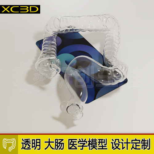 3D打印透明仿真结肠镜训练模型