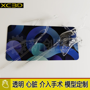 可拆卸透明血栓抽吸导管心脏肺动脉模型下肢静脉血管模型器械介入