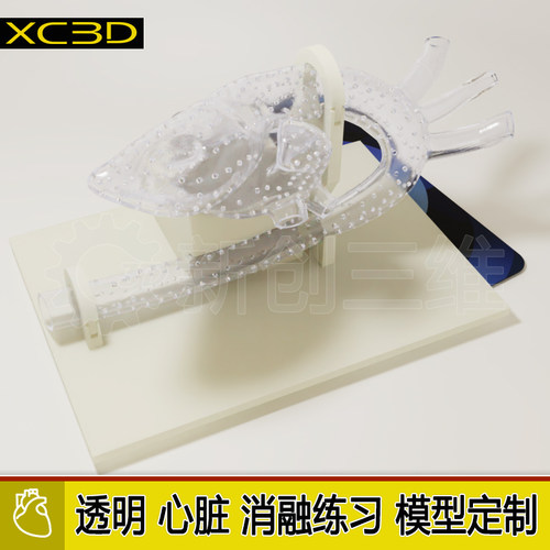 透明左心房左心耳心脏射频消融术