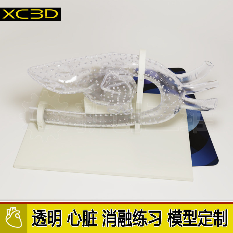 心脏介入射频消融术封堵术模型3D打印定制可拆卸透明左心房左心耳