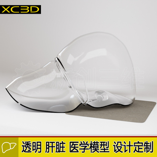 透明肝脏3D打印医疗医学教学教具大脑肾脏肺部胃气管心脏肾脏定制