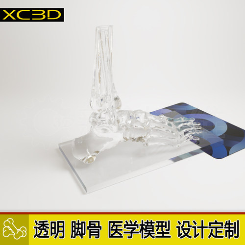 3D打印透明脚骨手模脚模手掌手臂手骨定制设计医学医疗教学教具