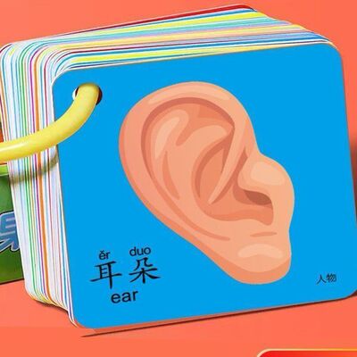 儿童早教书撕不烂早教卡0-6岁宝宝益智早教认知卡儿童启蒙认知卡