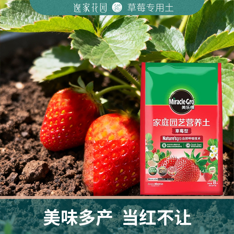 美乐棵草莓专用营养土泥炭土盆栽种植土专用肥植物通用土