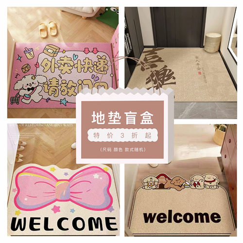 清仓盲盒全新丝圈入户门垫无瑕疵