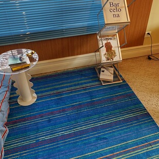 小众墨西哥复古地毯客厅蓝色中古风沙发茶几垫轻奢卧室床边毯加厚