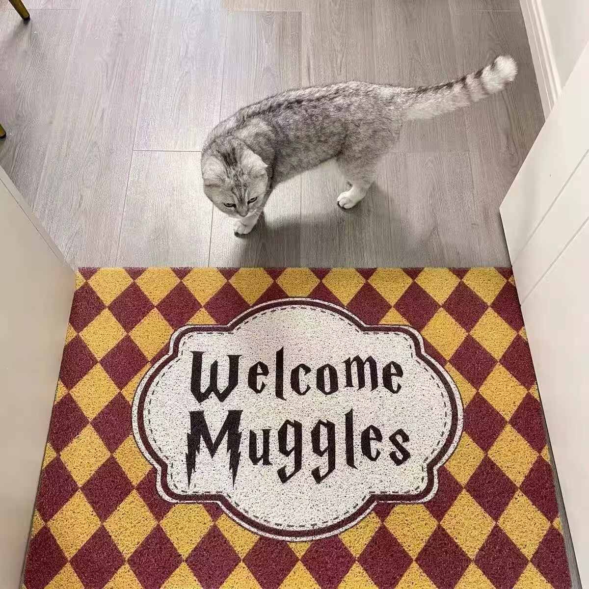 漫画风经典格子入户丝圈门垫玄关进门蹭土防滑脚垫除尘地垫可裁剪